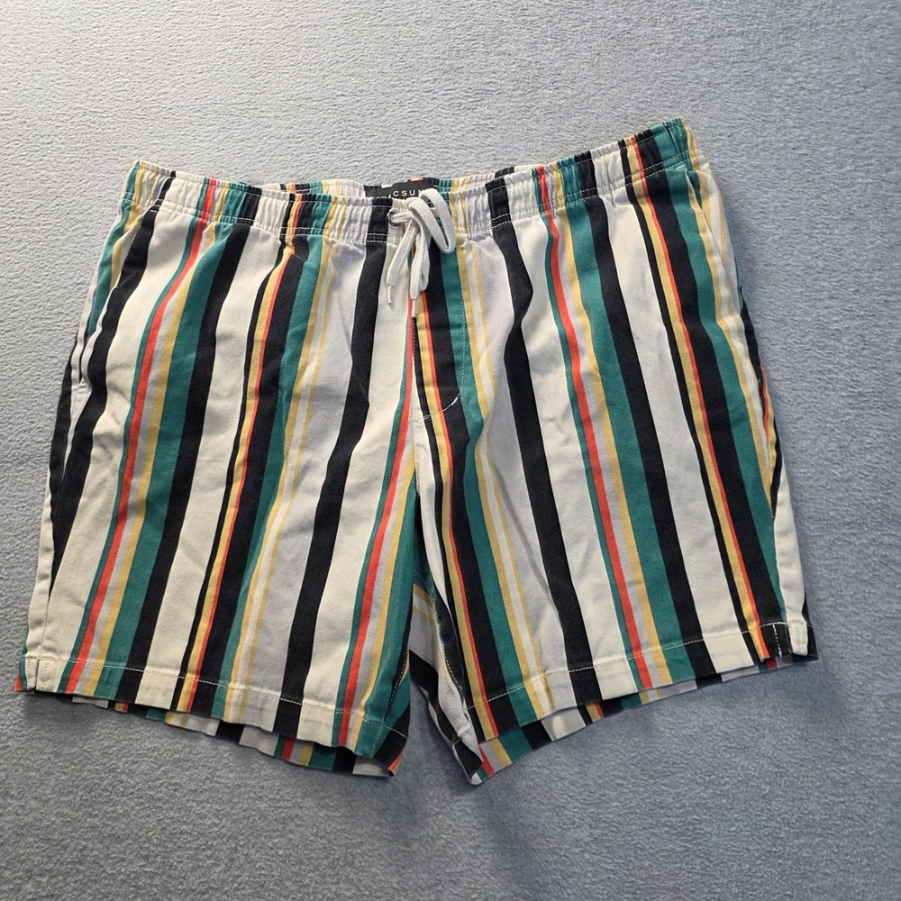 PacSun Drawstring Shorts Mens XL Striped Multicolor Casual Lounge Beach Elastic